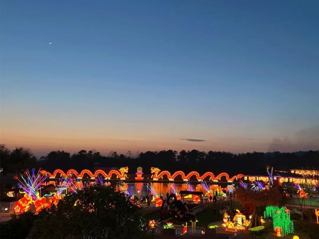 农业园夜景 农业园夜景